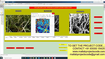 Sugarcane leaf disease detection and classification using SVM