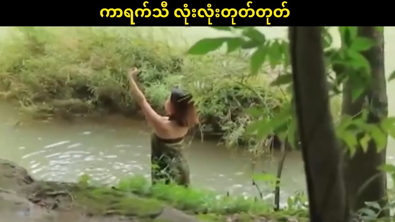 ကာရက်သီ လုံးလုံးတုတ်တုတ်