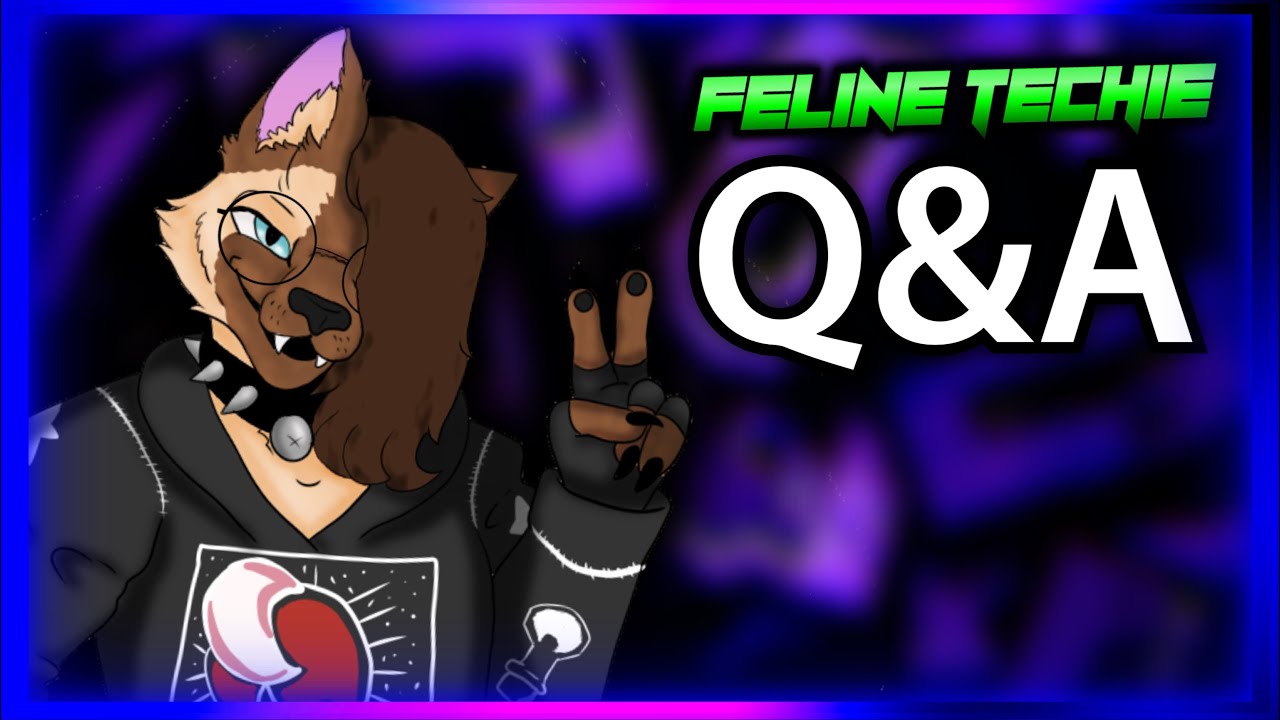 Why Did I Start This Channel?! (FelineTechie Q&A)