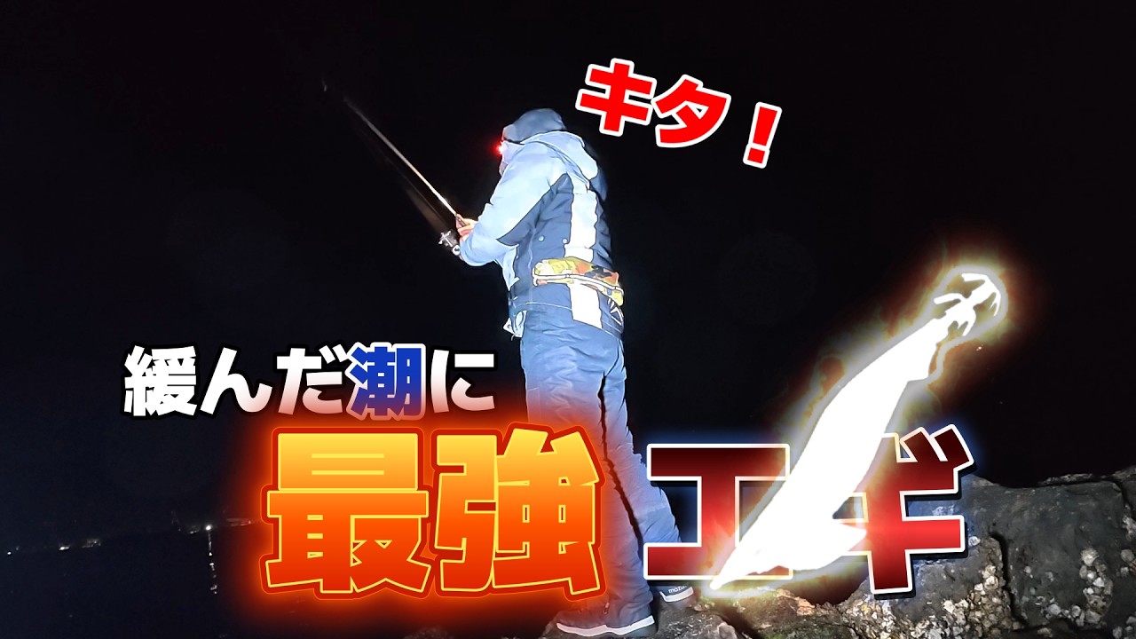 【エギング】潮の淀みに効果あるエギを使ってみたら