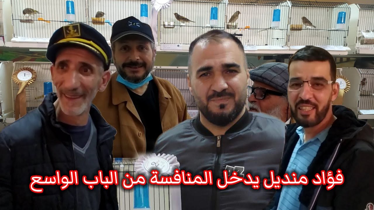 الحسون يخطف الانظار | البطولة الوطنية الرابعة لعلم الطيور