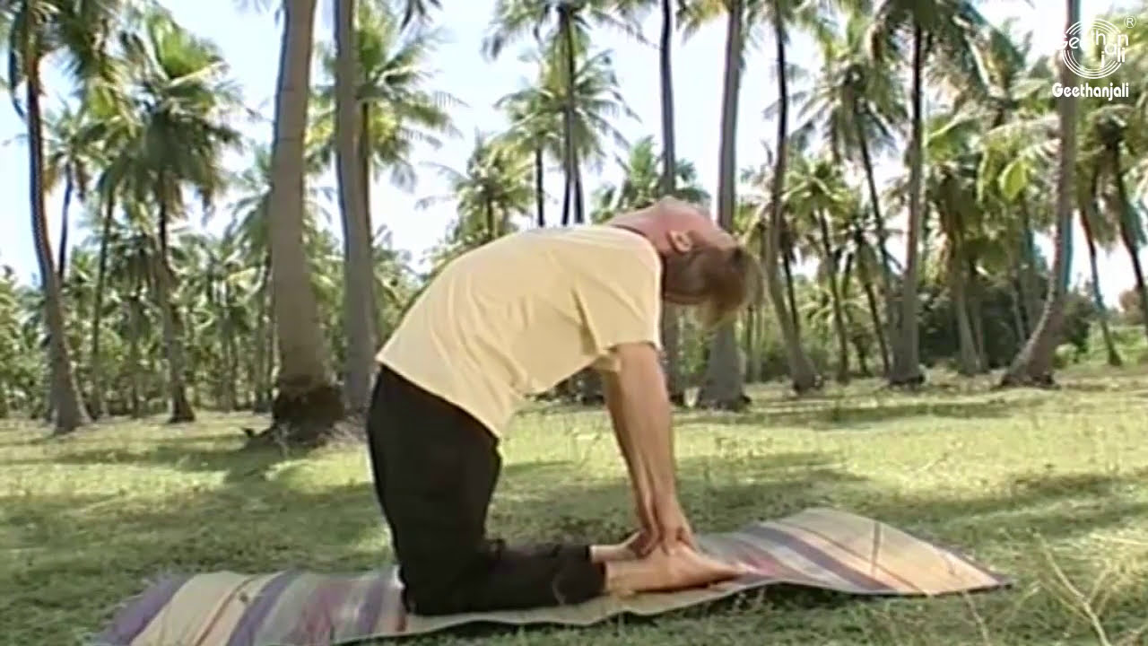 Yoga Asanas for Breathing Problem | Beginners Yoga Exercises to Cure Respiratory Problems yoga music youtube