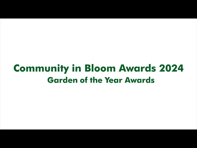 Thumbnail for CIB Awards 2024