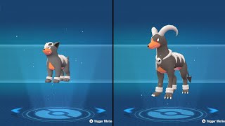 Houndour Evolution Pokemon - Pokemon Legends Z-A