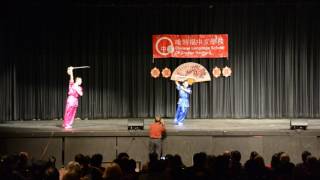 Wushu Straight Sword Fight