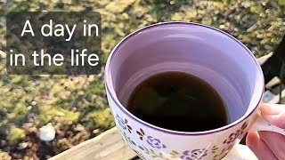 A day in the life as a homesteader. #homestead #chicken #foryou #farming #freerangechickens