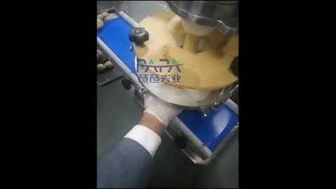 small Kubba/kibbeh/kebbeh/kebbe encrusting making machine