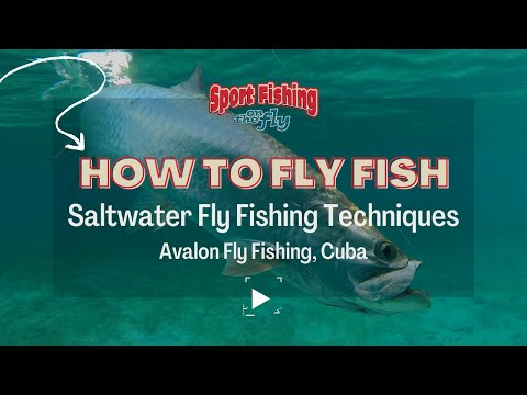 Underwater Video: See Fish Escape Trawler Gear with CatchCam