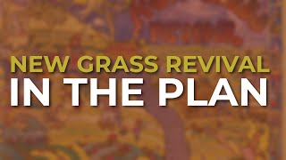 New Grass Revival - In The Plan (Official Audio)