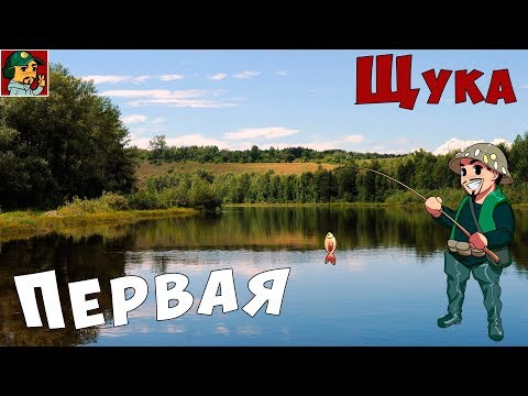 Первая в жизни Щука !!! + Бонус с аэродрома малой авиации :)