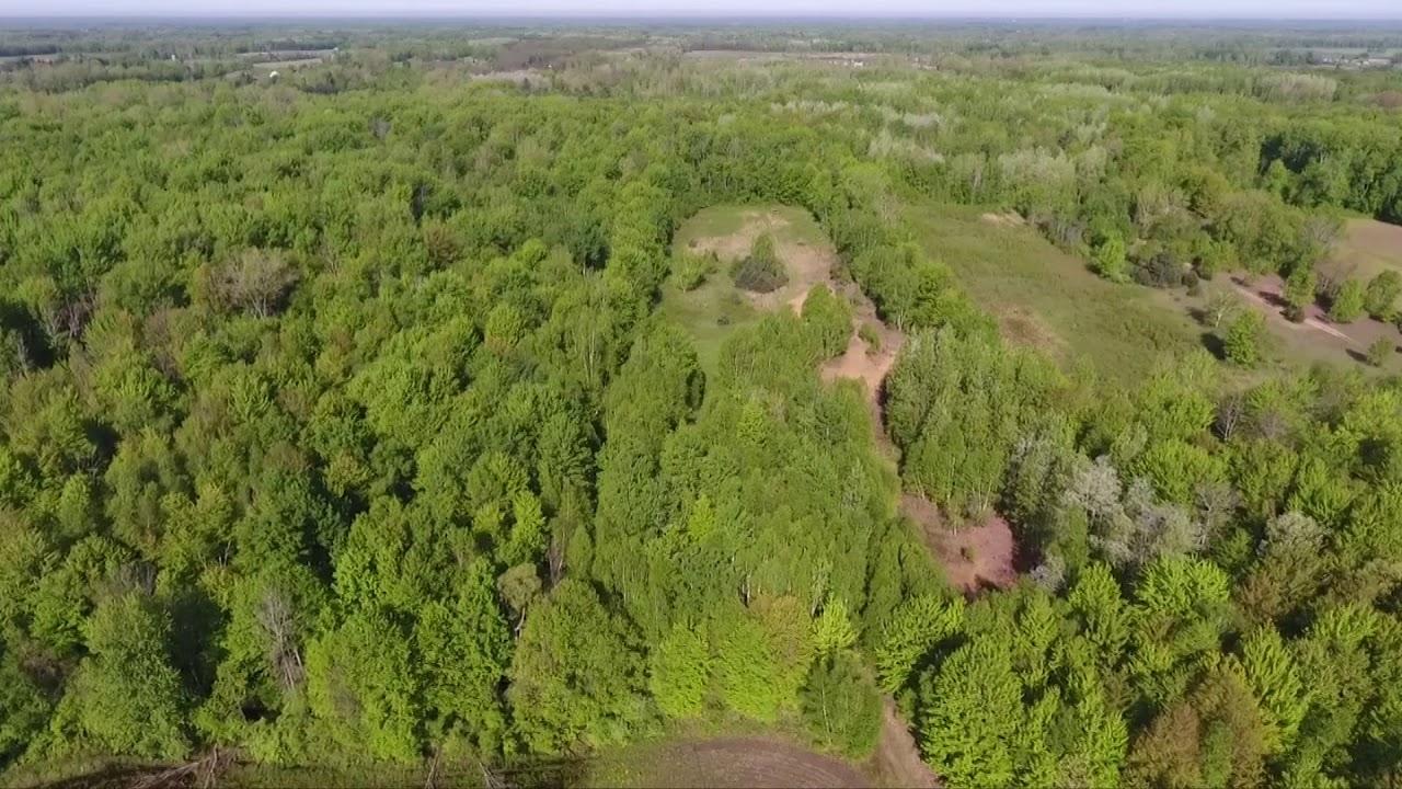 Drone Video of Mayville (Michigan) Property 75 Acres YouTube