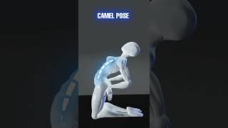 Tight lower back? Stiff spine?  #spine #mobility #stretching #cobra #catcow