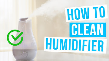 How to CLEAN HUMIDIFFIER | with vinegar!