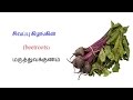 medical benefits of beetroot 