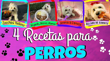 ¿Cuál es una buena cena para perros?