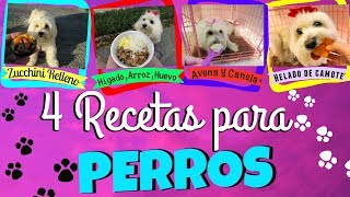 4 Recetas para Perros Faciles y Saludables, vegetales, carne, avena, camote, helados I Lorentix