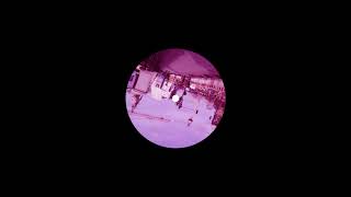 Download lagu DJ Physical Whales Orchestra DJ Physical Whales Orchestra