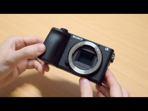 Sony a6600 - Hands-On Review & Sample Photos