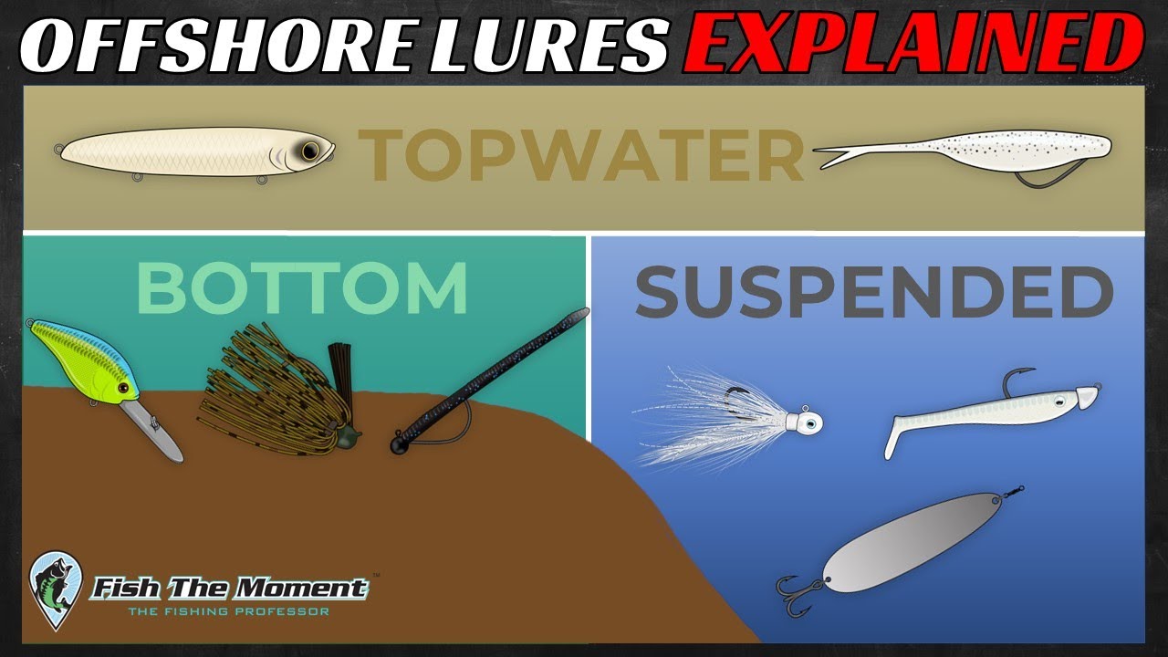 Pick the PERFECT Offshore Bass Lure EVERY TIME With This Simple Guide-  Winter, Spring, Summer & Fall 