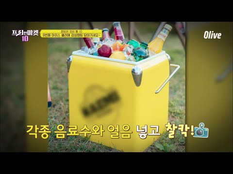 아이스쿨러(아이스박스)도 갬성갬성_작은 사이즈ver. [캠핑은 장비 빨10] | freemarket10 프리한마켓10