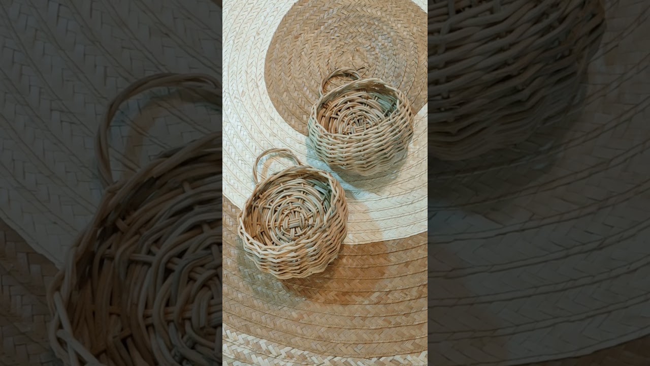 Shopee Finds | Wall Decor Planter 