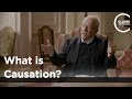 Simon Blackburn - What is Causation?