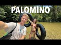 Dont miss this spot in colombia  palomino 