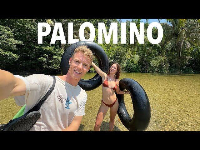 DON'T MISS this spot in Colombia - Palomino 🇨🇴 class=