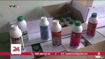 Cảnh báo thuốc bảo vệ thực vật và phân bón không rõ nguồn gốc | VTV24