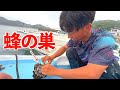 蜂80匹に襲われたので仕返ししました。