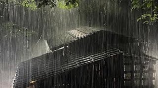 Goodbye Insomnia With Heavy Rain & Thunder Growls On a Plastic Roof In The Dark, Misty Forest