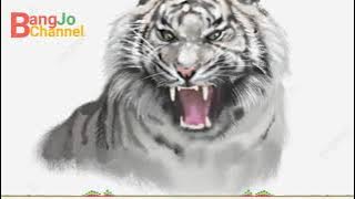 DJ Kutidhieng Lagu Sakral Slow (Bass Boosted) Bass Gleer