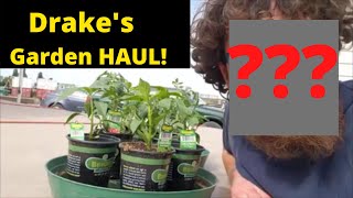 Drakes Vegetable garden haul