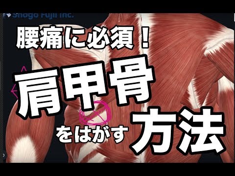 リバースローテーションテクニック藤井翔吾先生 リバースローテーションテクニック藤井翔吾先生 - メルカリ