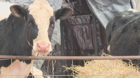 Farmer files lawsuit against PFAS manufacturer