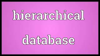 Hierarchical database Meaning