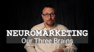 Neuromarketing | Our Three Brains #neuroscience #neuromarketing #marketing #psychology