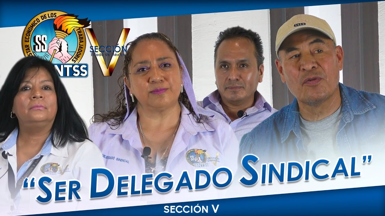 Ser Delegado Sindical │ Sección V