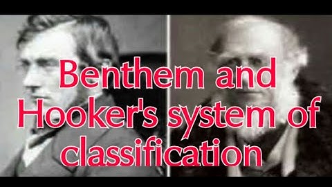 Natural system of classification /Benthem and Hooker