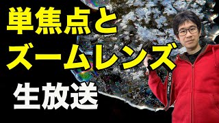 【生放送】 単焦点とズームレンズの違いと良さ【雑談】