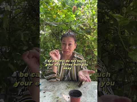 How to grow