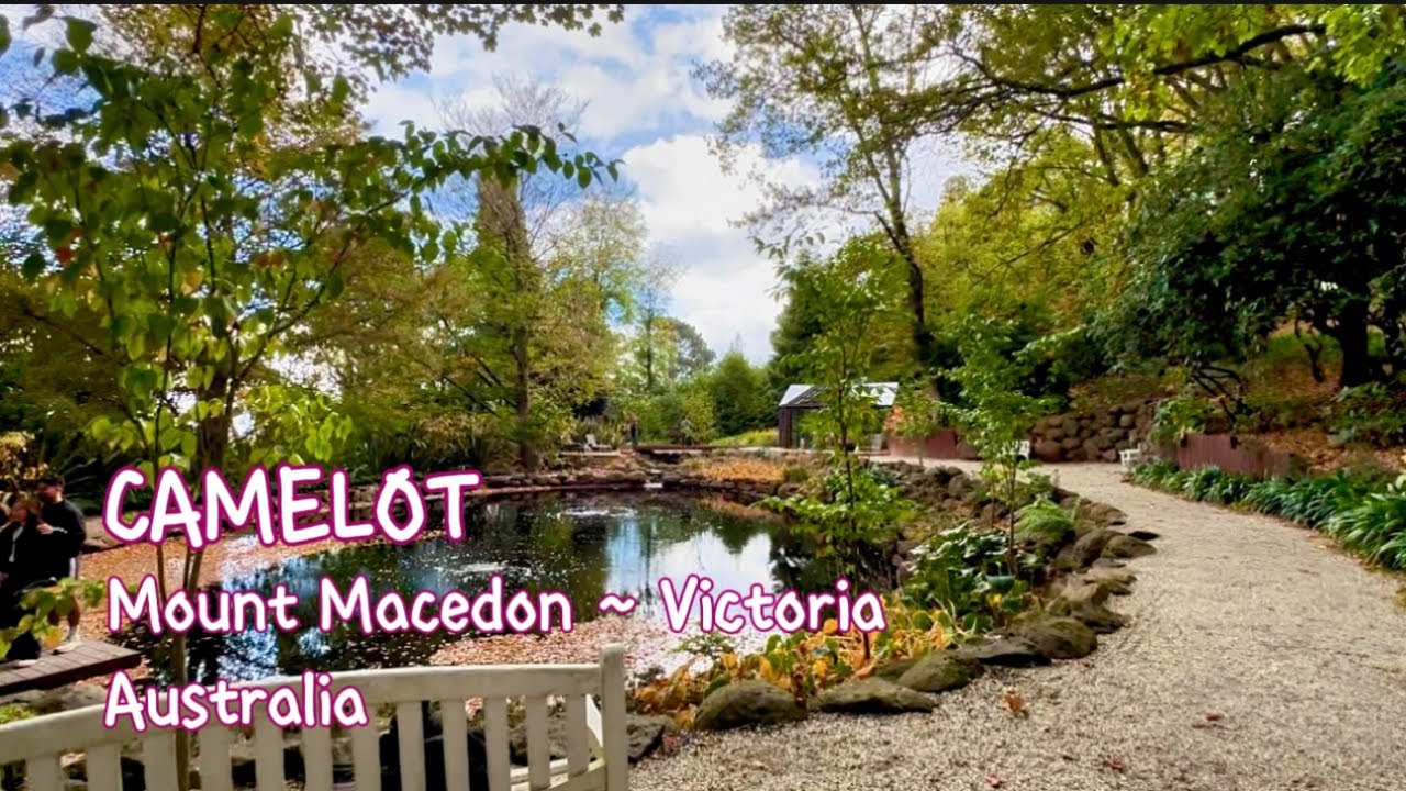 Прекрасная осенняя атмосфера в Камелоте, гора Маседон, Виктория, Австралия