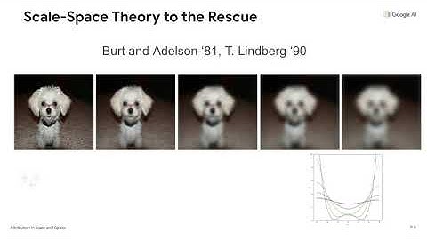 Attribution in Scale and Space