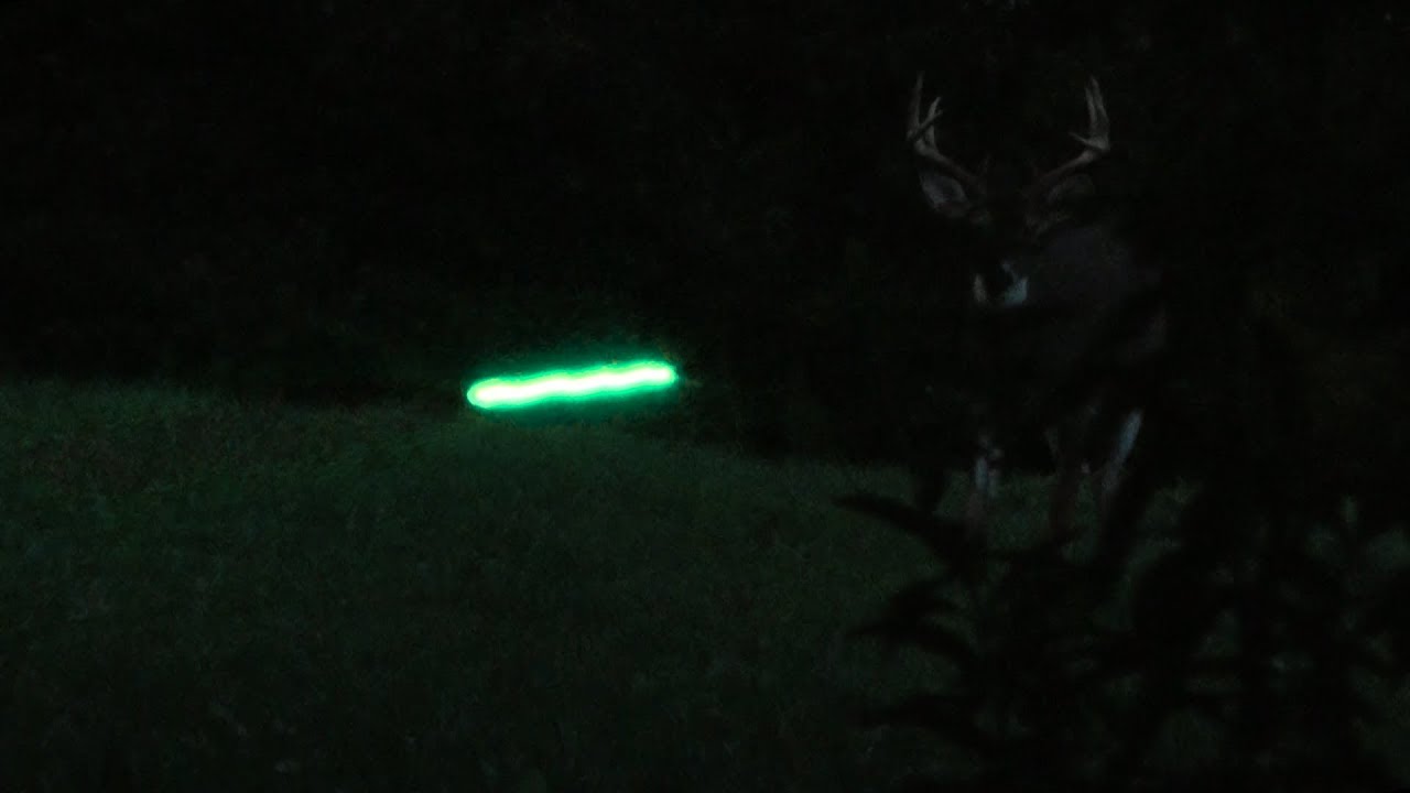 Early Season Bowhunting - Minnesota Buck Down!