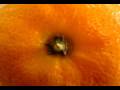 Miniature de la vidéo de la chanson Tangerine
