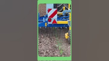 Weed Removal with Advanced Machinery #agriculturetech #farminginnovation