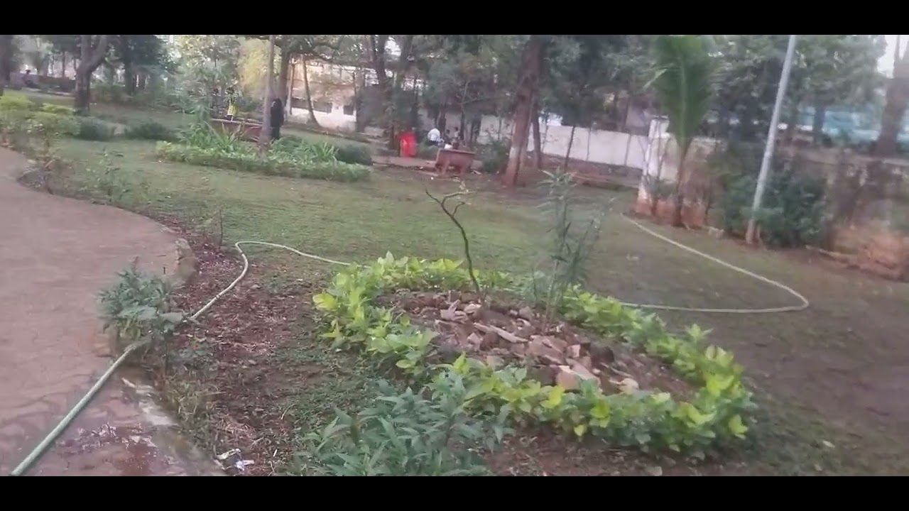 Guye End part &:6 InGulmoar  Garden  