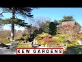 KEW GARDENS - Royal Botanic Gardens [ part 1 ] | London Walk