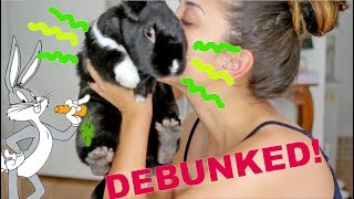 TOP 5 MYTHS ABOUT RABBITS...DEBUNKED!