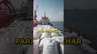 SE VIENE una CRISIS ALIMENTARIA BRUTAL… y NADIE lo está mirando